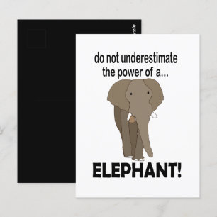 Cartão Postal Elefante Animal Selvagem Engraçado Elefante