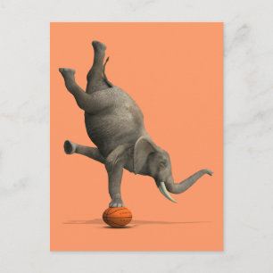 Cartão Postal Elefante Artístico
