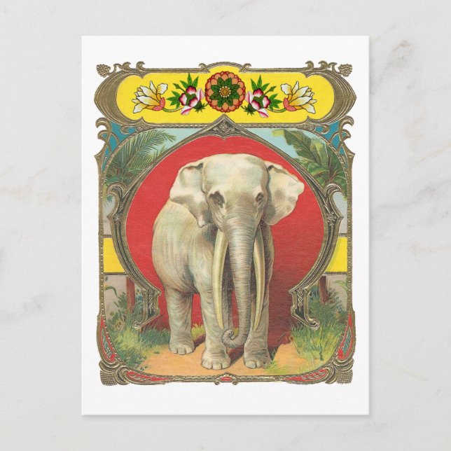 Cartão Postal Elefante Branco (Frente)