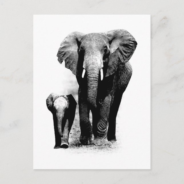 Cartão Postal Elefante BW e Elefante para Bebês (Frente)