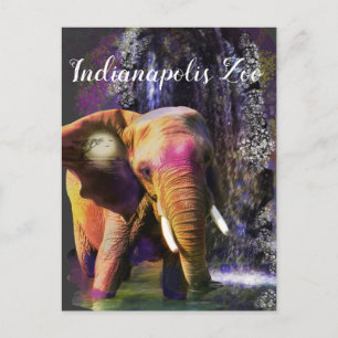 Cartão Postal Elefante Colorido na Cachoeira