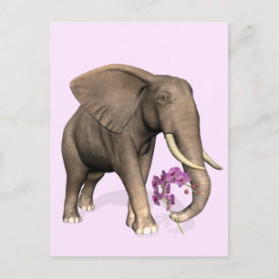 Cartão Postal Elefante Com Orquídea Rosa