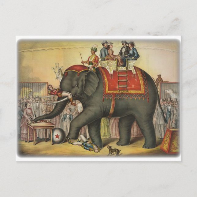 Cartão Postal elefante de atuação antiga (Frente)