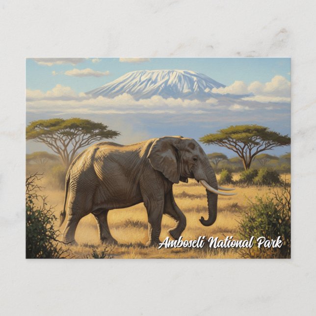 Cartão Postal Elefante do Parque Nacional do Kenya Amboseli (Frente)