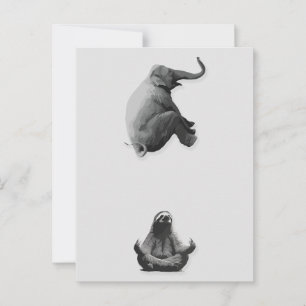 Cartão Postal Elefante e Meditante Harmonia da Lama