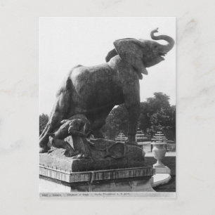 Cartão Postal Elefante jovem apanhado numa armadilha