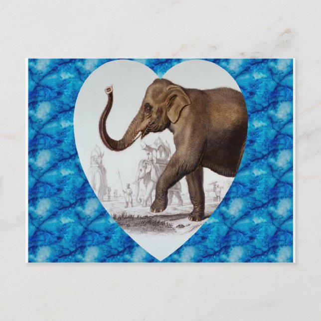 Cartão Postal Elefante Love (Frente)