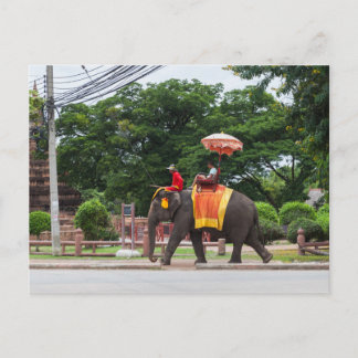 Cartão Postal Elefante na Tailândia Ayutthaya