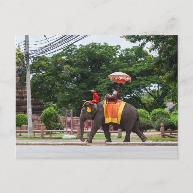 Cartão Postal Elefante na Tailândia Ayutthaya (Frente)