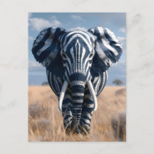 Elefante No Disguise Zebra