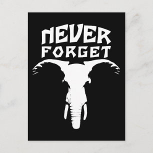 Cartão Postal Elefante Nunca Esquece
