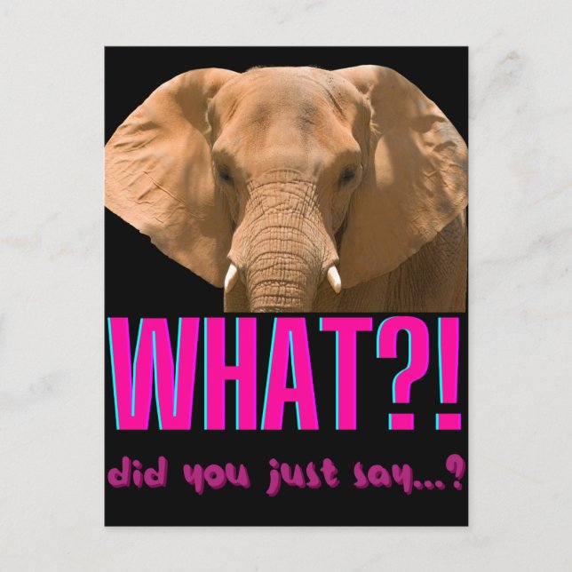 Cartão Postal Elefante O Que Você Acaba de Dizer? (Frente)