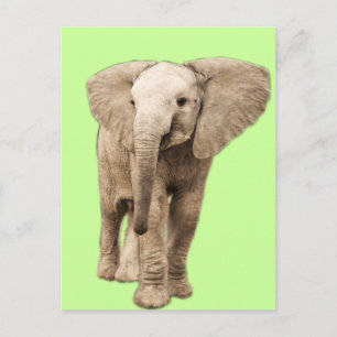 Cartão Postal Elefante para Bebê