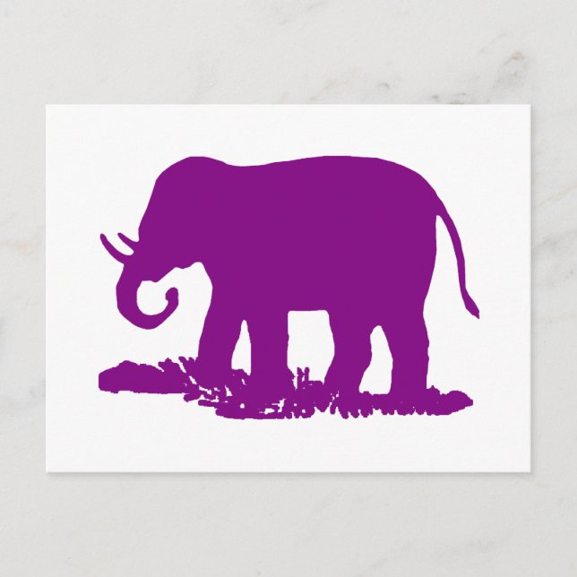 Cartão Postal Elefante Roxo (Frente)