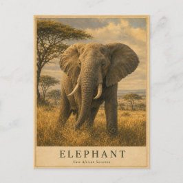 Cartão Postal Elefante Savana da África Oriental VINTAGE