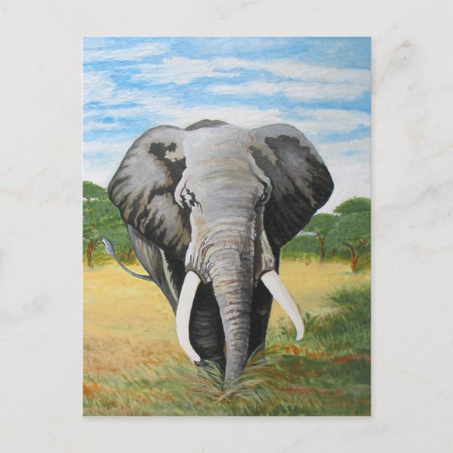 Cartão Postal Elefante selvagem (Frente)