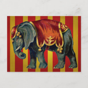 Cartão Postal elefante vintage circus