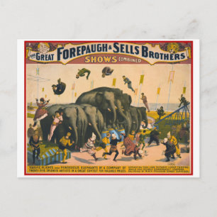 Cartão Postal Elefantes circenses antigos acrobatas Forepaugh & 