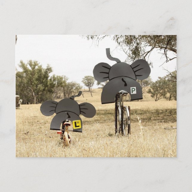 Cartão Postal Elefantes em Bikes (Frente)