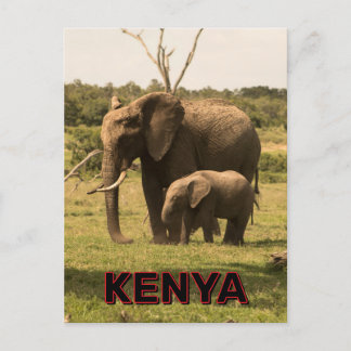 Cartão Postal Elefantes Grazing No Quênia