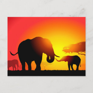 Cartão Postal Elefantes Mãe e Filho no Sunset