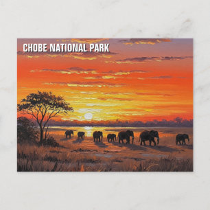 Cartão Postal Elefantes no Parque Nacional de Chobe, Botsuana