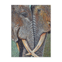 Elefantes Nunca Esquecem