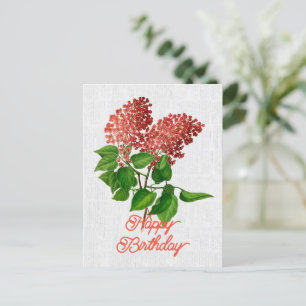 Cartão Postal Elegante Aniversário Floral Syringa Vulgaris Vinta