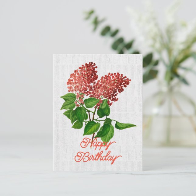 Cartão Postal Elegante Aniversário Floral Syringa Vulgaris Vinta (Em pé/Frente)