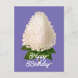 Cartão Postal Elegante Aniversário Hydrangea Paniculata Vintage