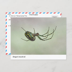 Cartão Postal Elegante Arachnid - Postc do Weaver Artístico da N