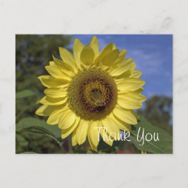 Cartão Postal Elegante, brilhante obrigado de girassol amarelo d