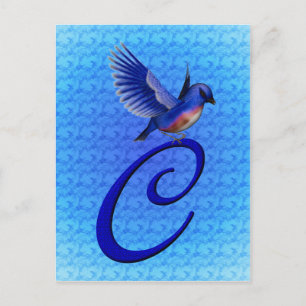 Cartão Postal Elegante C inicial do Monograma de Bluebird