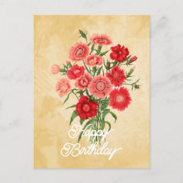 Cartão Postal Elegante Dianthus Chinensis Flor de Aniversário Vi