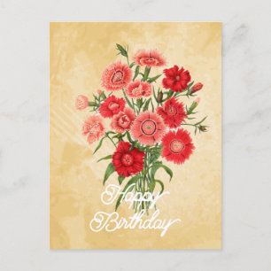Cartão Postal Elegante Dianthus Chinensis Flor de Aniversário Vi