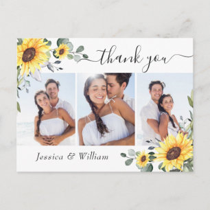 Cartão Postal Elegante Eucalyptus Sunflower PHOTO Obrigado