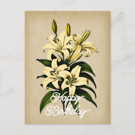 Cartão Postal Elegante Flor de Lírio Branca Vintage Feliz Aniver
