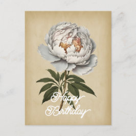 Cartão Postal Elegante Flor de Peônia Branca Vintage Feliz Anive