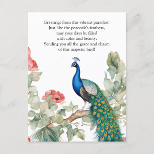 Cartão Postal Elegante Peacock