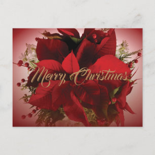 Cartão Postal Elegante Poinsettia de Natal Vermelho