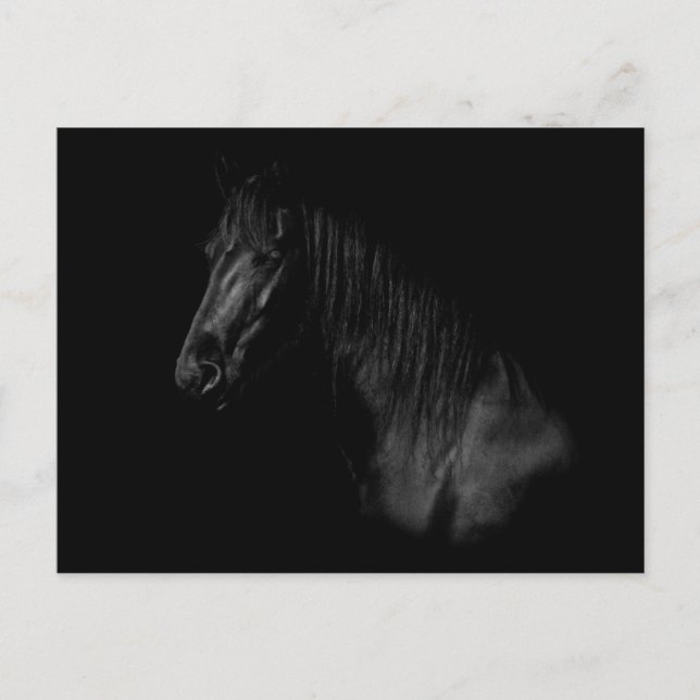Cartão Postal Elegante retrato de um cavalo frísio preto (Frente)