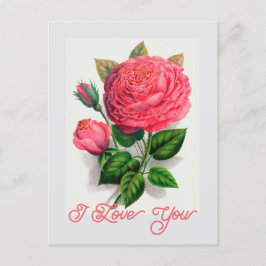 Cartão Postal Elegante Vintage Anna de Diesbach Rosa I Love You