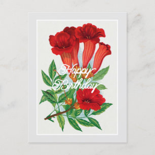 Cartão Postal Elegante Vintage Bignonia Flower Feliz Aniversário