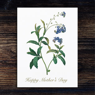 Cartão Postal Elegante Vintage Botânica Esquecer-Me Não Flor