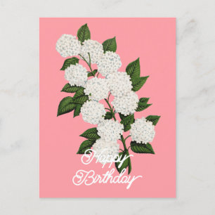 Cartão Postal Elegante Vintage Japonês Snowball Aniversário Feli