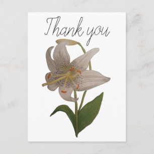 Cartão Postal Elegante Vintage White Lily Flower Obrigado