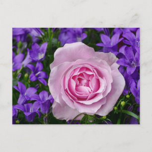 Cartão Postal Elegantes Flores Florais de Tulipa e Rosa Fotograf
