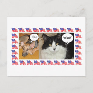 Cartão Postal Eleição Da Política Animal 2016
