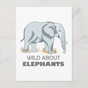 CARTÃO POSTAL ELEPHANT