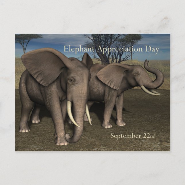 Cartão Postal Elephant Appreciation Day PostCard 22 de setembro (Frente)